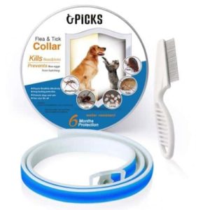 regirock flea and tick collar