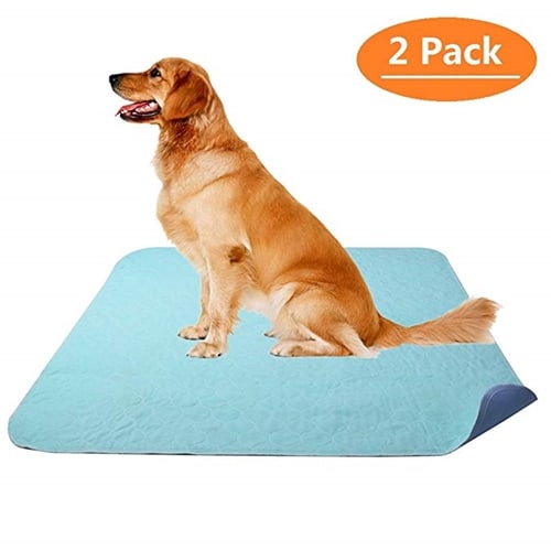 largest pee pads for dogs