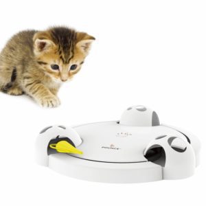 automated cat toys