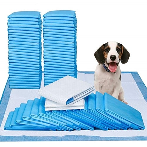 good dog training pads