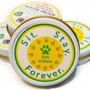 Sit. Stay. Forever. Organic Pet Sunscreen