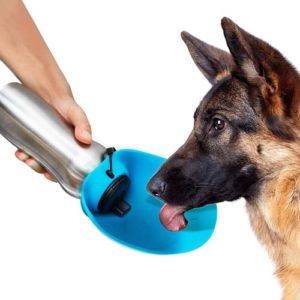 dog water bottle with bowl attached