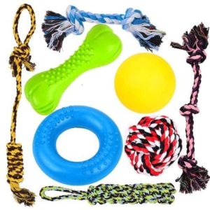 healthy chew toys for dogs