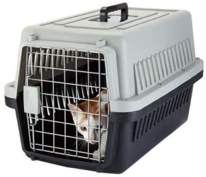 best portable dog crate