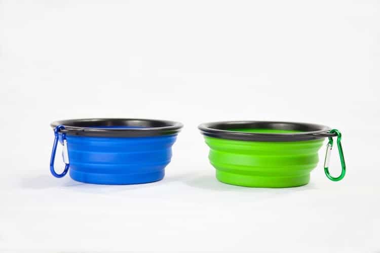 The 25 Best Dog Travel Bowls of 2020 