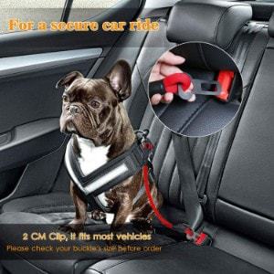 chew proof dog seat belt