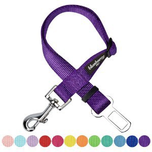 Blueberry Pet Classic Solid Color Dog Collar Collection Seatbelt