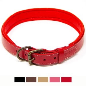 Logical Leather Padded Leather Dog Collar