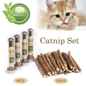 sticks for cats to chew