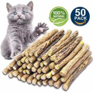 cat teething toys