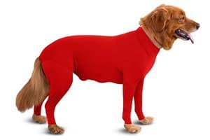 anxiety coat for dogs