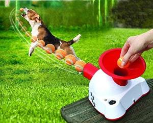 self throwing ball machine for dogs