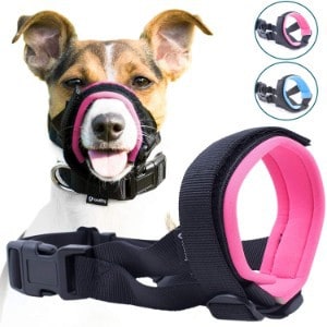 muzzle that allows dog to eat and drink
