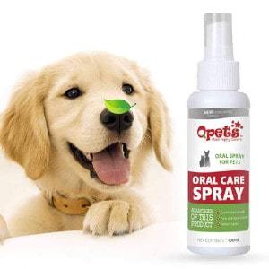 The 25 Best Dog Breath Sprays of 2020
