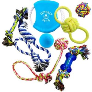 tough dog rope toys