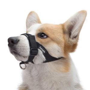 soft muzzle for puppies