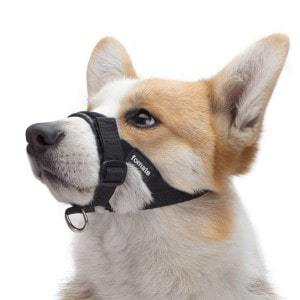 gentle dog muzzle