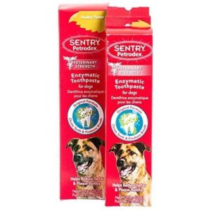 best toothpaste for dogs with bad breath