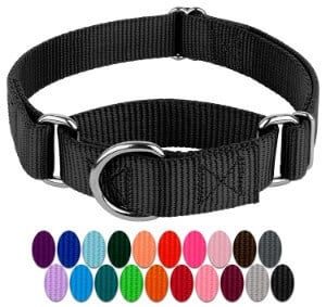 male dog collars and leashes