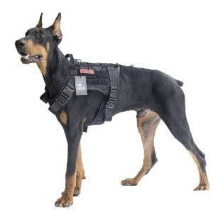 best service dog vests 2018