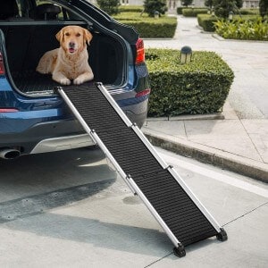 steps for dogs car