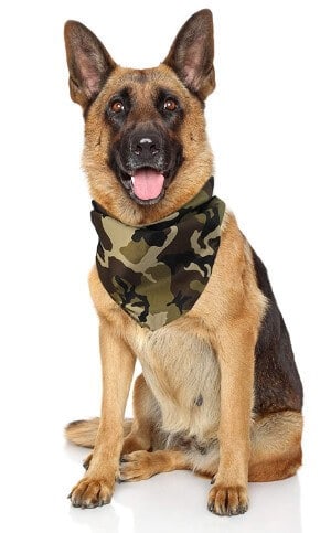 large breed dog bandanas