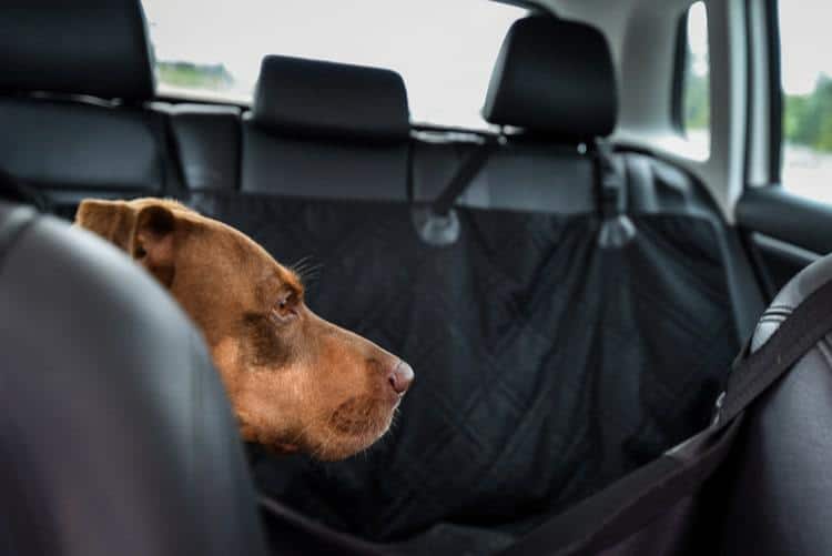 Pet Dog Car Seat Cover SUV Rear Bench Hammock Mat Waterproof Anti-Slip Blanket