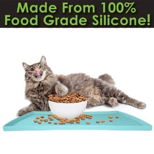 cat dinner mat