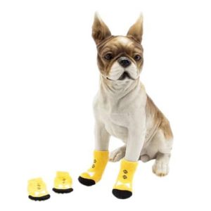 dog foot protection
