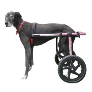 Walkin' Wheels Large Dog Wheelchair