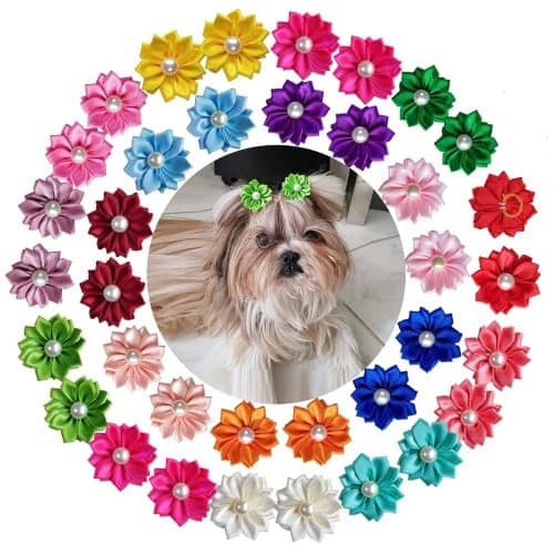 where to buy dog bows