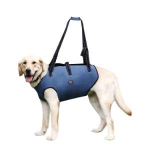 dog harness that goes around back legs