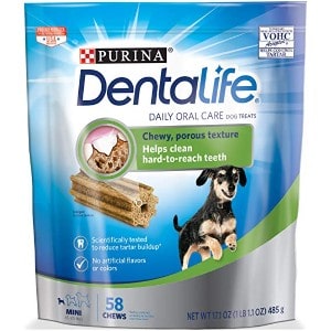 denture sticks for dogs