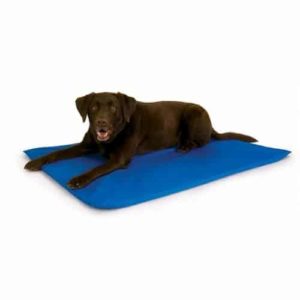 electric cooling blanket for dogs