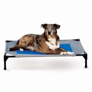 dog cooling bed no water