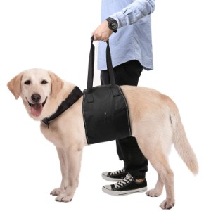 harness to carry dog upstairs