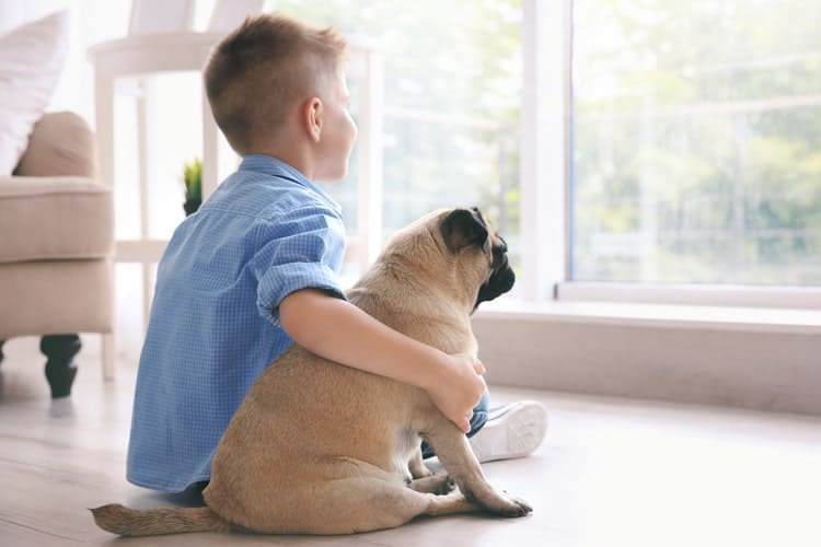 10 Best Pets for Kids - Pet Life Today