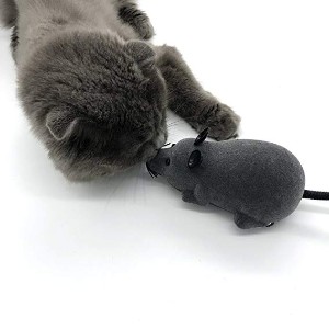 The 25 Best Electronic Cat Toys Of 2020 Pet Life Today