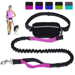 kong running leash