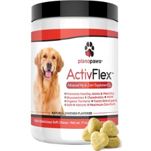 glucosamine for small breed dogs