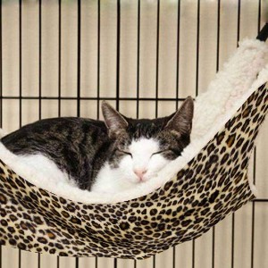 cat hammock for cat tree