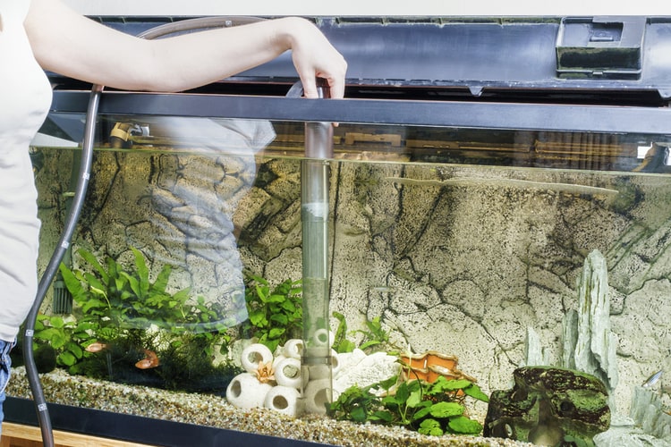 The 25 Best Aquarium Gravel Cleaners Of 2020 Pet Life Today,Rotisserie Oven