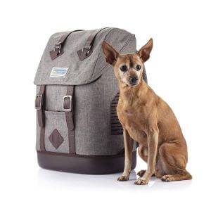 dog carrier backpack 40 lbs