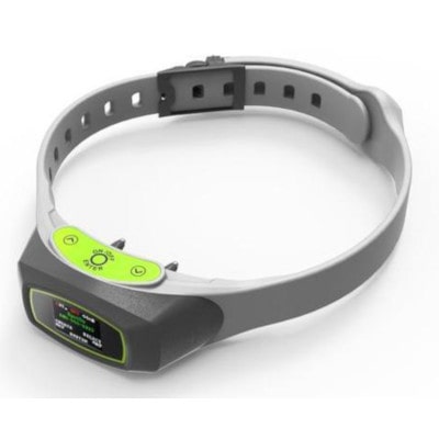 virtual fence dog collar