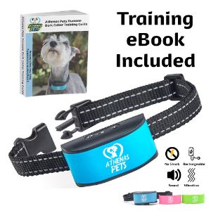 highest rated bark collar