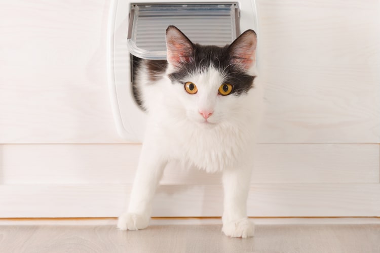 energy efficient cat door