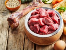 The Best Raw Dog Foods
