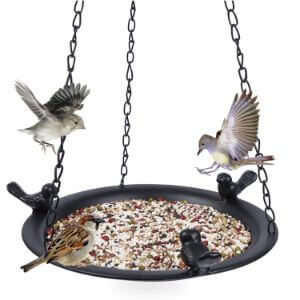 Kimdio Bird Feeder and Bird Bath