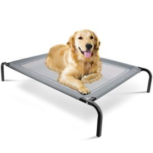 puppy proof dog bed