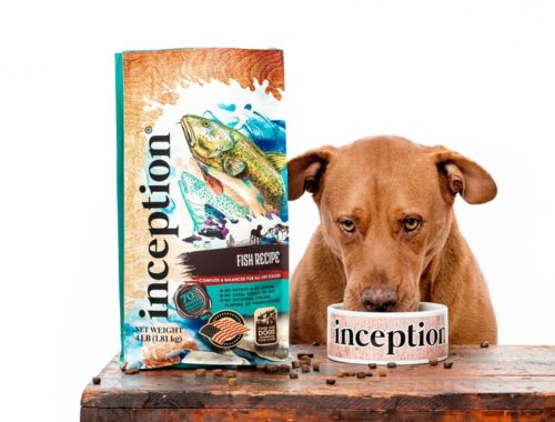 The 25 Best Holistic Dog Foods In 2020 Pet Life Today